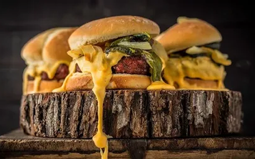 5667a1c3225d-ternera-adobe-t-1-1-14 2 (22)